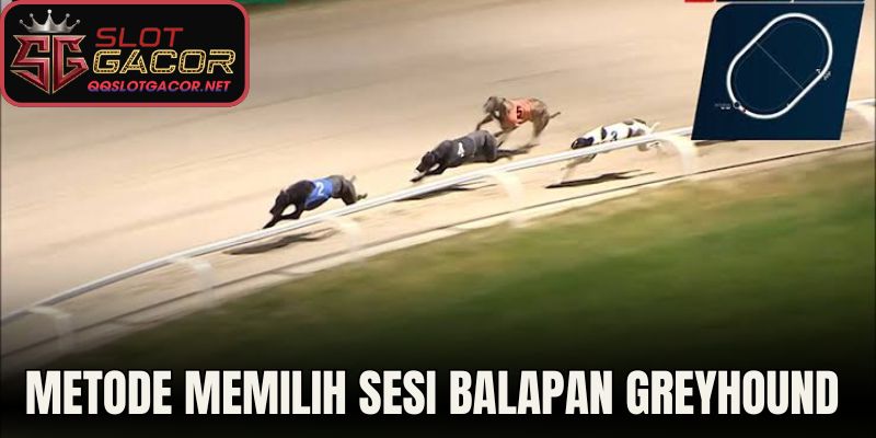 Metode Memilih Sesi Balapan Greyhound Daring 
