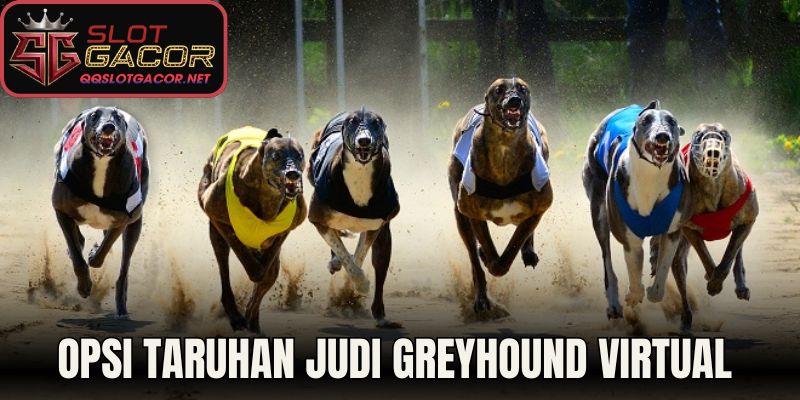 Opsi Taruhan Judi Greyhound Virtual 